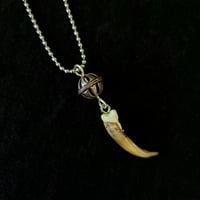 Image 2 of Silver Porcupine Claw Necklace 