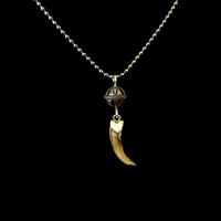 Image 1 of Silver Porcupine Claw Necklace 