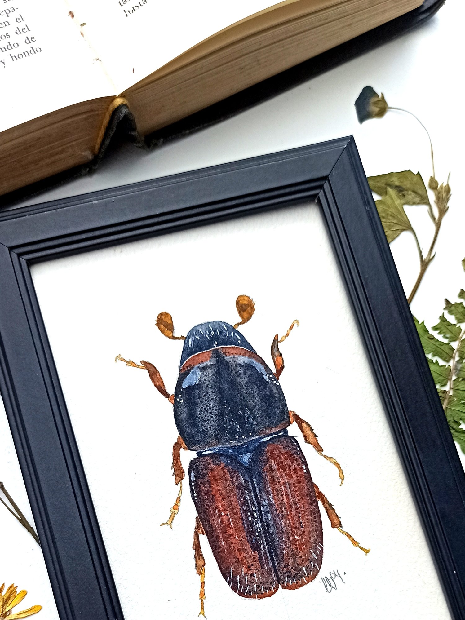 Image of Bark Beetle Watercolor Illustration ORIGINAL ARTWORK with Frame