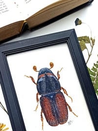 Image 2 of Bark Beetle Watercolor Illustration ORIGINAL ARTWORK with Frame