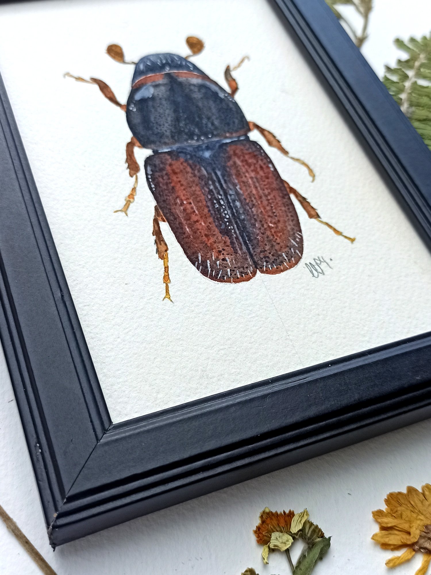 Image of Bark Beetle Watercolor Illustration ORIGINAL ARTWORK with Frame