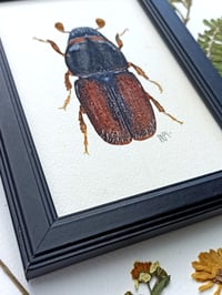 Image 5 of Bark Beetle Watercolor Illustration ORIGINAL ARTWORK with Frame