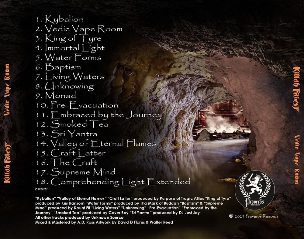 Vedic Vape Room (CD)