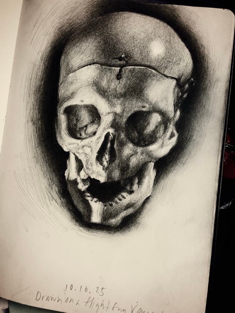 Image of Sketchbook Drawing of a Skull - Drawn at 35,000 Feet, High in the Midnight Sky