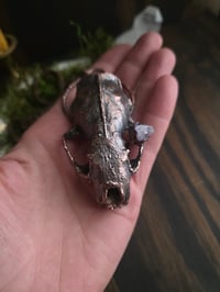 Image 3 of Mink Skull with Amethyst