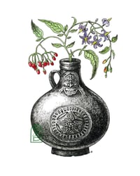Image 1 of Nightshade Witch Bottle Print