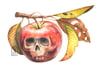 Apple Augury Print