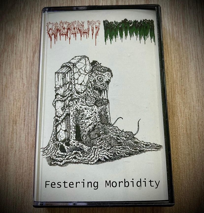 REPUTDEATH/FUNEREALITY "Festering Morbidity" Split CS