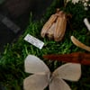 Mink Skull Realm