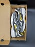 NIKE AIR ROLLIN' SIZE 12US 46EUR  Image 4