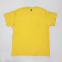 Image 2 of Arachnid Lovers 2024 - Yellow