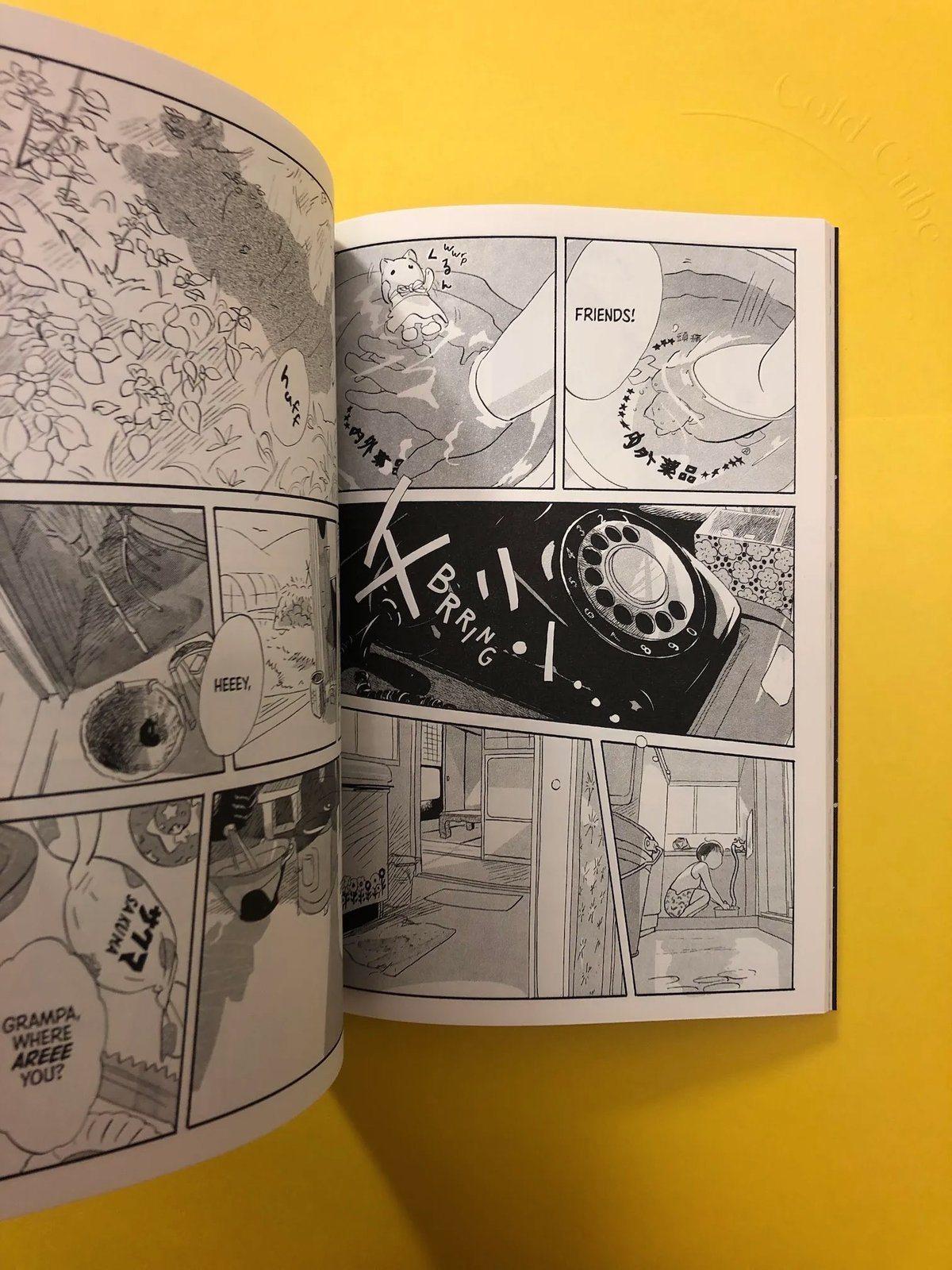 GLAEOLIA 1 ( 2nd Eng Ed) - Glacier Bay Books