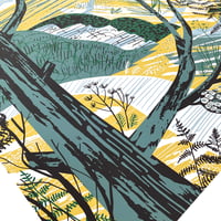 Image 4 of St Anthony Goldcrests Panorama