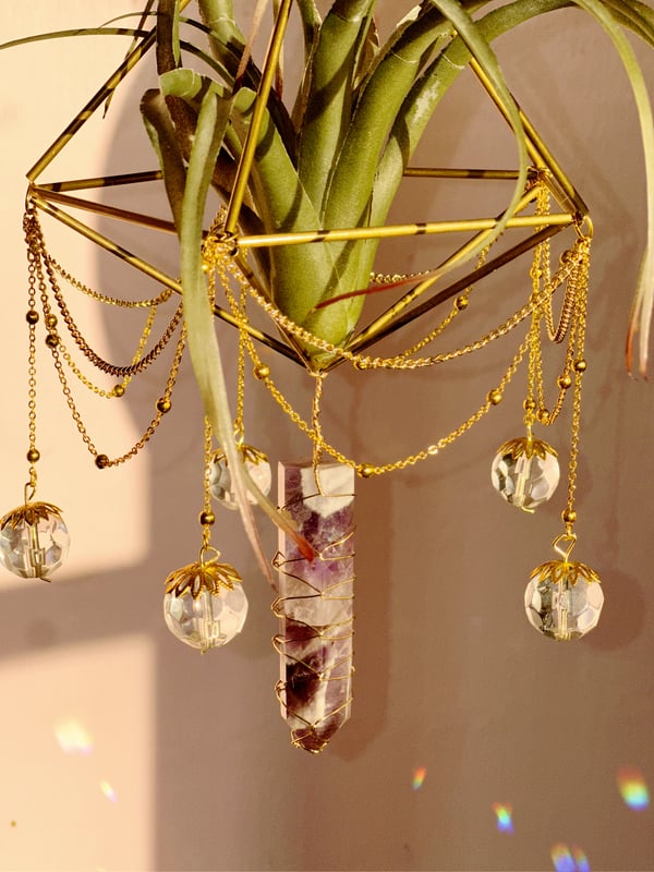 Image of Suncatcher FOH air plant.