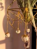 Image 5 of Suncatcher FOH air plant.