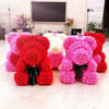 Valentine’s Mini Rose Bear