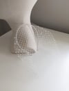 PEARL EMBELLISHED VEIL