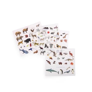 Image of Mapamundi de calcomanías