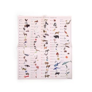 Image of Mapamundi de calcomanías