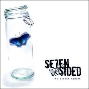 Image of The Silver Lining