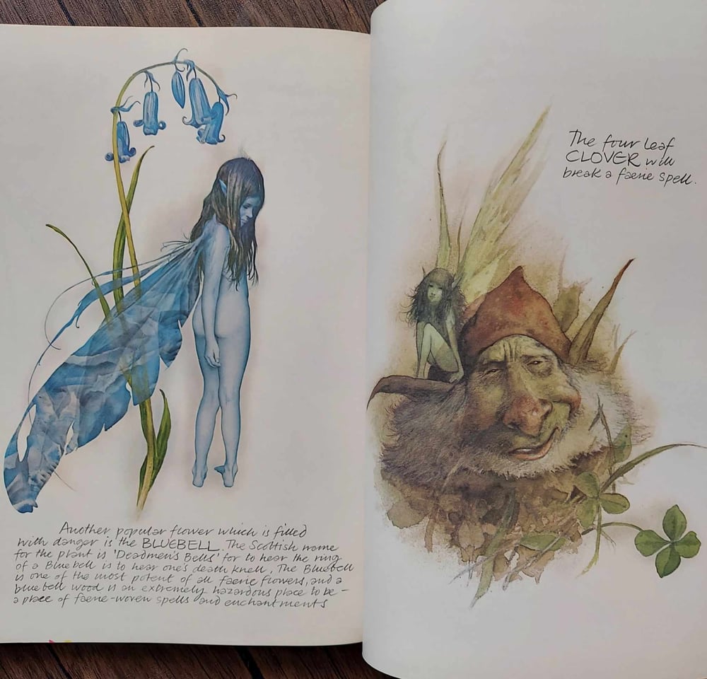 Faeries, by Brian Froud & Alan Lee.