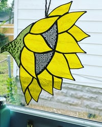 Image 1 of Sunflower
