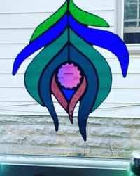 Peacock feather