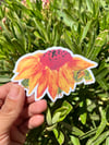 Sunflower Turtle Waterproof Vinyl Sticker 