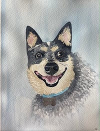 Pet Portrait Commission