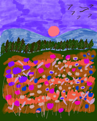 WILDFLOWER EVENING 