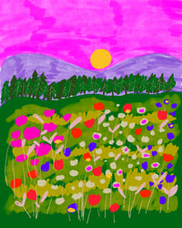  WILDFLOWER MORNING 