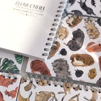 Image 3 of Squirrels Notebook A6 