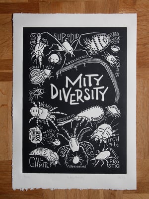 'Mity Diversity'