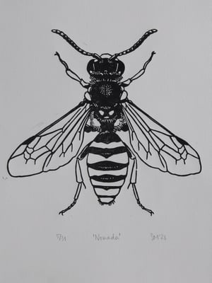 'Nomada'