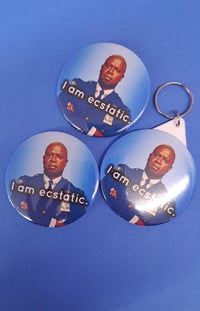 Image 1 of I Am Ecstatic Magnet Keyring Badge Mirror