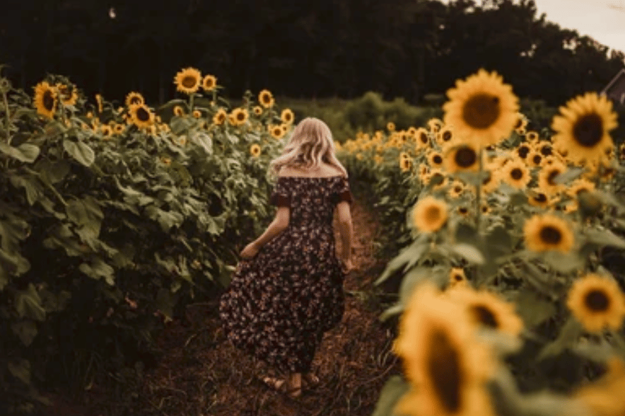 Image of SUNFLOWER SESSIONS - Aug 2025