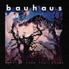 Bauhaus BURNING FROM THE INSIDE Patch