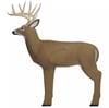 3D Deer Archery Target
