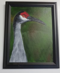 Loon