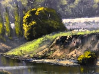 Image 4 of The Meroo River