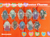 IDV: Two-Faced Hunter Holographic Charms