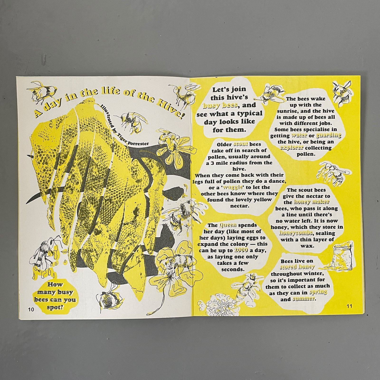 別冊+act. : CULTURE SEARCH MAGAZINE Vol.13 asAyan ランキング大好き VOL.13 : Bunkasha : Free Download