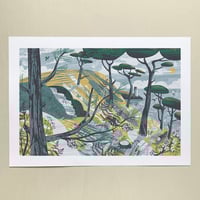 Image 1 of St Anthony Goldcrests Panorama