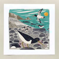 Image 1 of St Loy Cove Oystercatchers Print