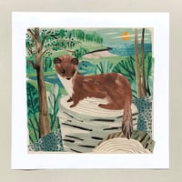 Image 1 of Porthluney Stoat Print