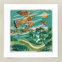 Image 1 of Helford Kestrels Print