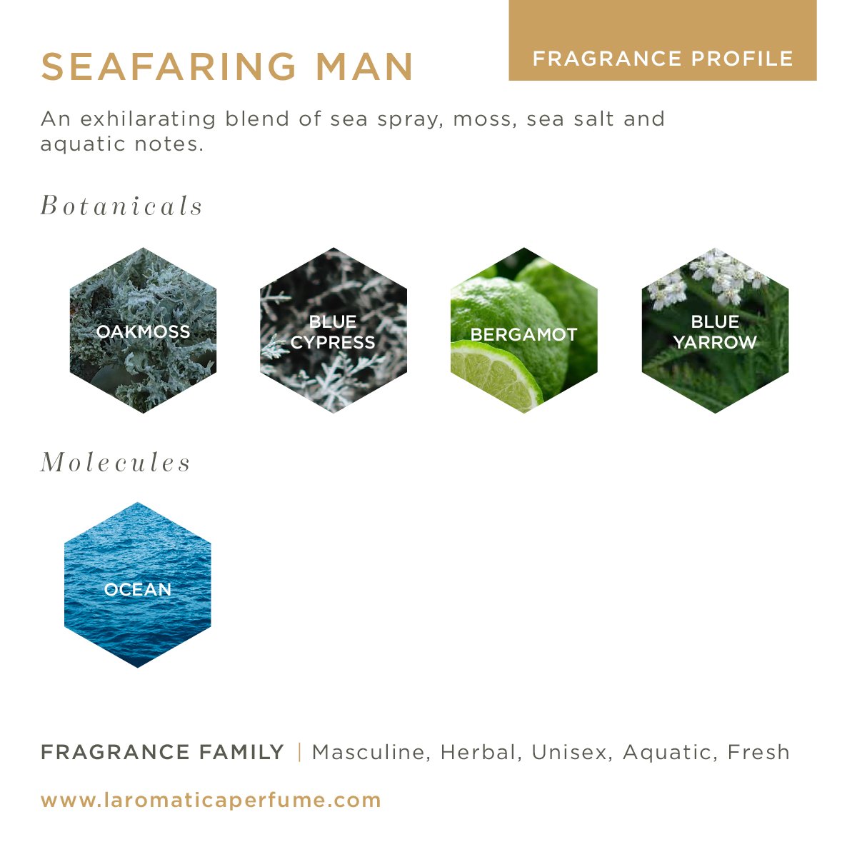 Image of Seafaring Man 