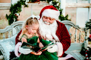 Image of Santa Sessions