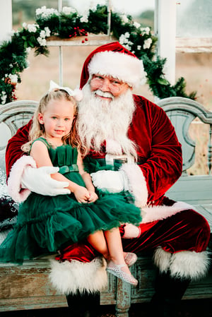 Image of Santa Sessions