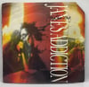 Jane's Addiction – Mountain Song 1988 7” 45rpm